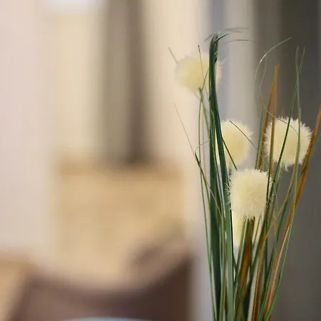 Balcones De Candelaria By Cadiz4rentals Apartament Kadyks